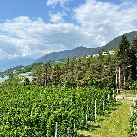 فيلا Agritur Maso Forcola Brez المظهر الخارجي الصورة