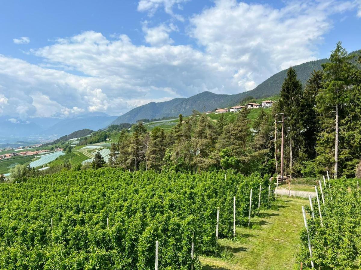فيلا Agritur Maso Forcola Brez المظهر الخارجي الصورة