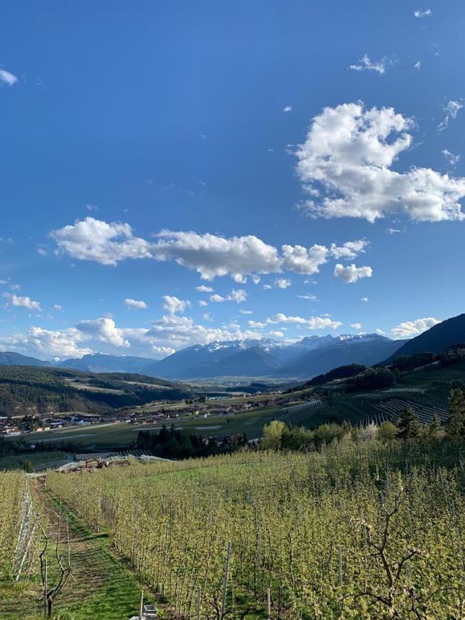 فيلا Agritur Maso Forcola Brez المظهر الخارجي الصورة