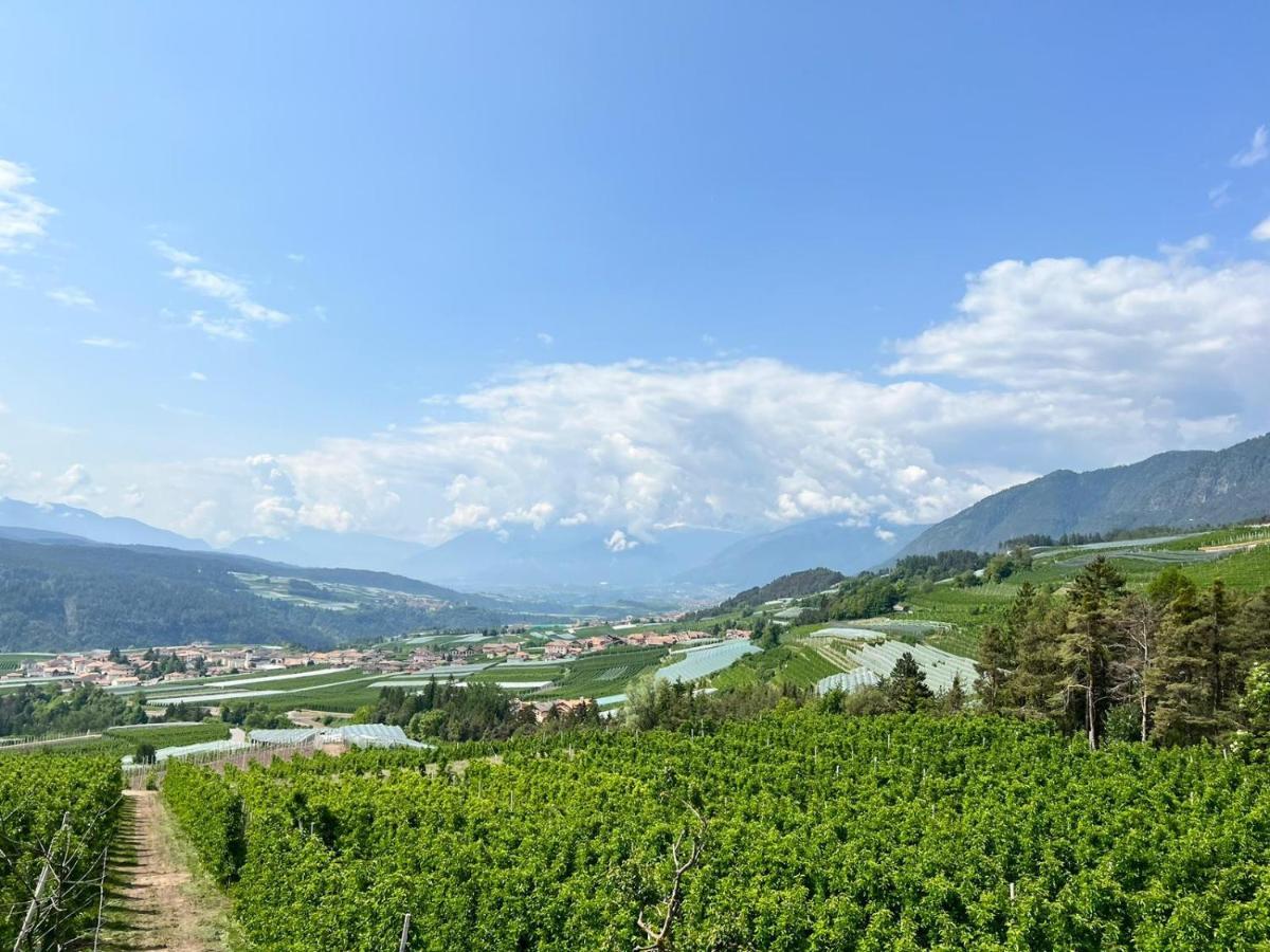فيلا Agritur Maso Forcola Brez المظهر الخارجي الصورة